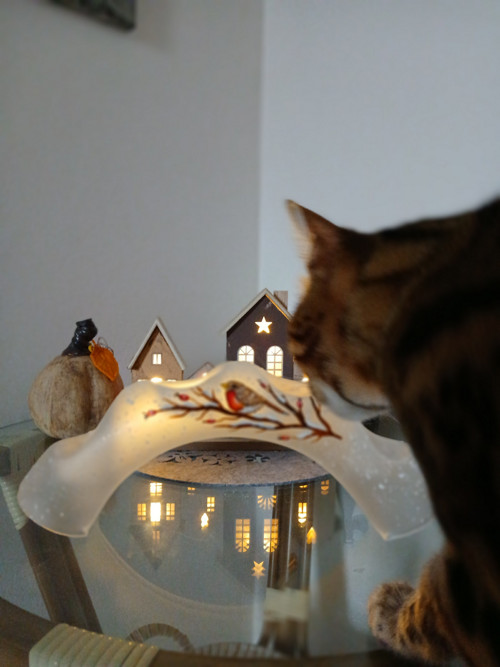 Adventní svícen — foto 2
