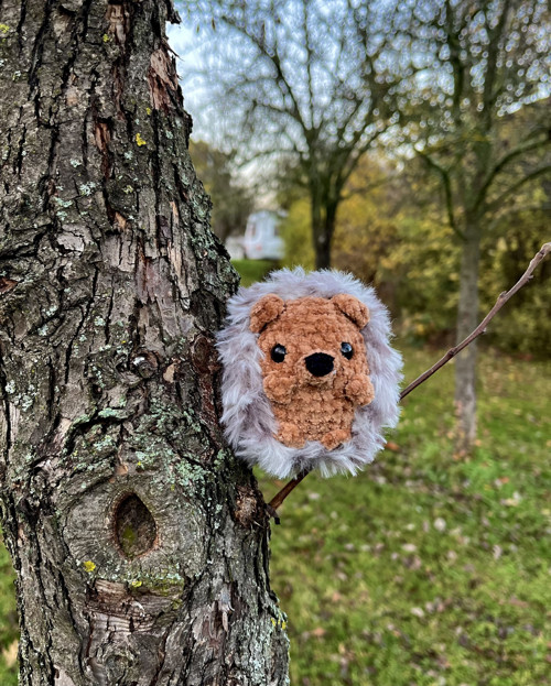Rozkošný ježeček — foto 3