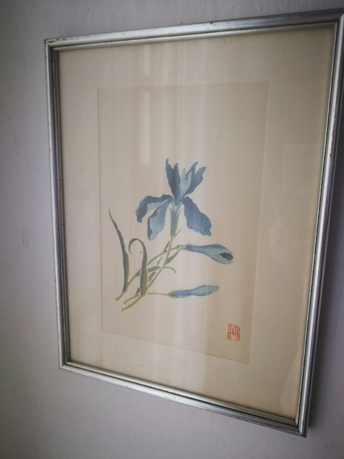 Japonský akvarel kosatec — foto 3