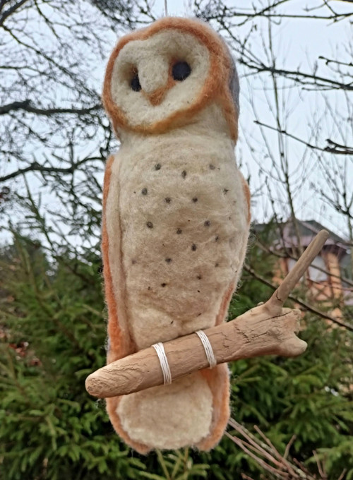 Sova pálená — foto 3