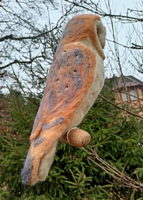 Sova pálená — foto 2