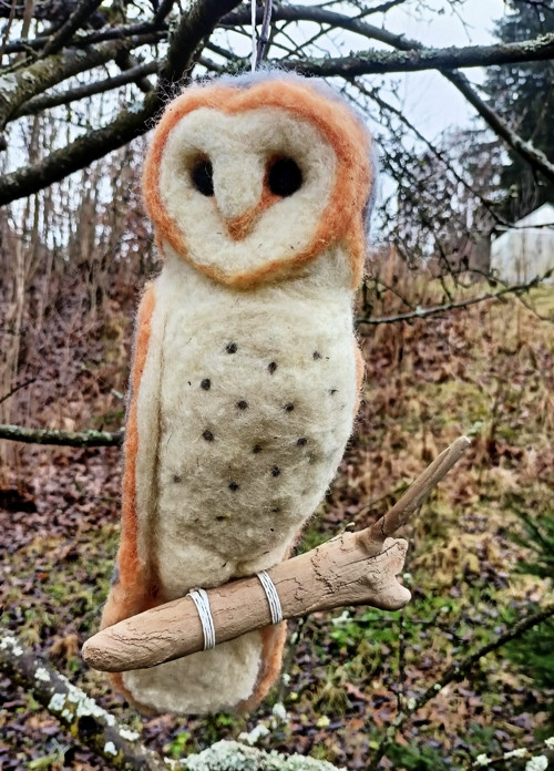Sova pálená — foto 4