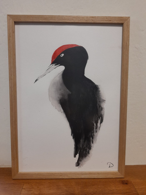 Autorský akvarel - datel — foto 4