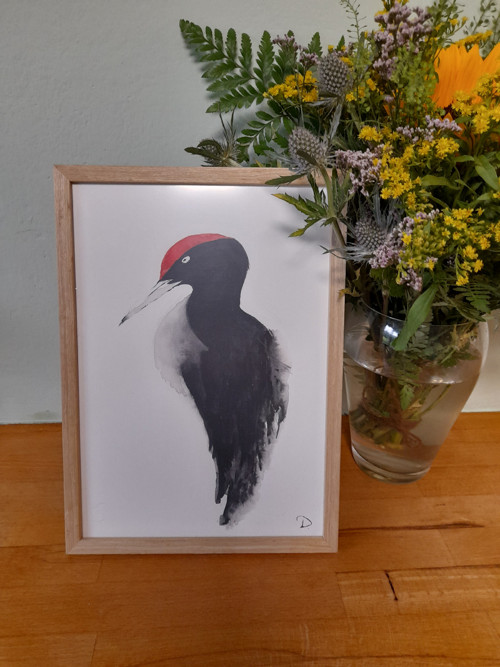 Autorský akvarel - datel — foto 2