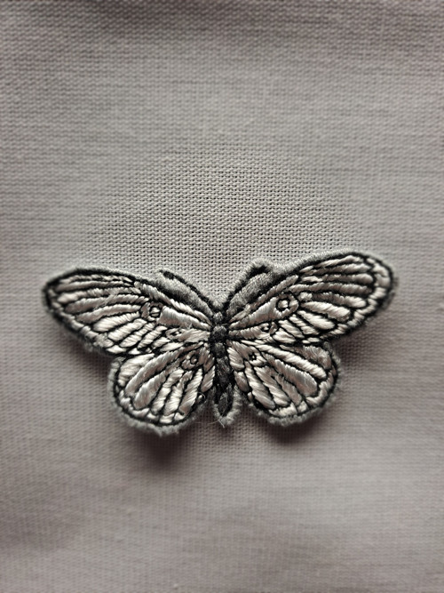 Motýl — foto 5
