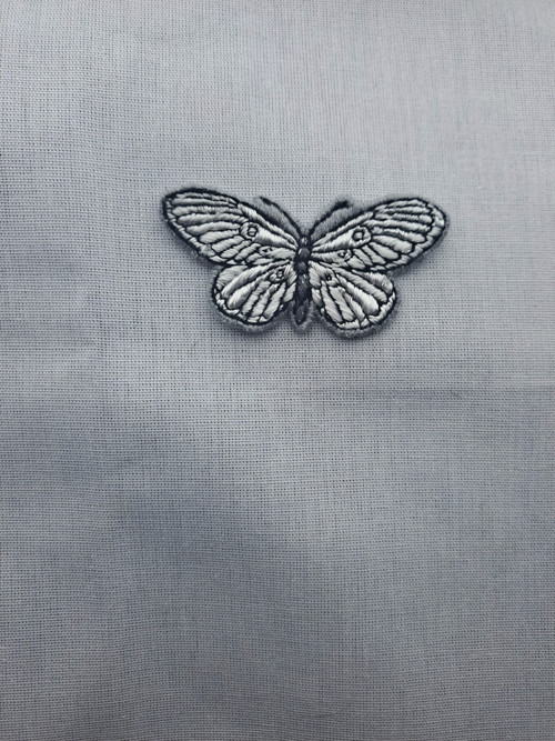 Motýl — foto 4