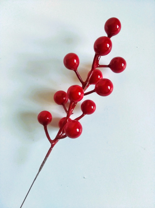 Červené větvičky s bobulemi — foto 2