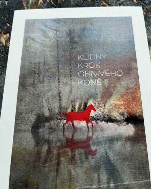 Klidný (k)rok Ohnivého koně (A6) — foto 3