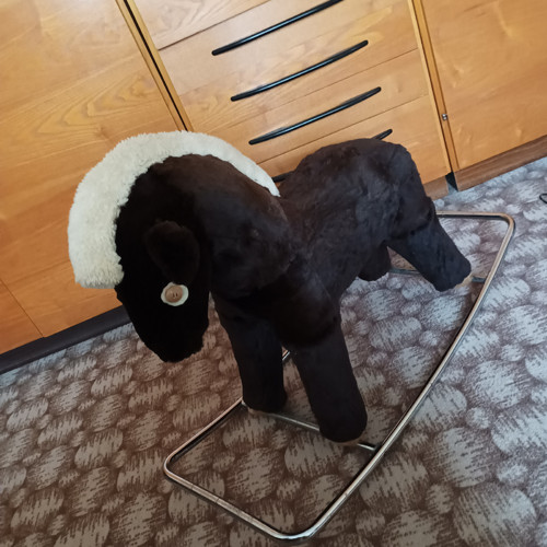 Houpací kůň — foto 2