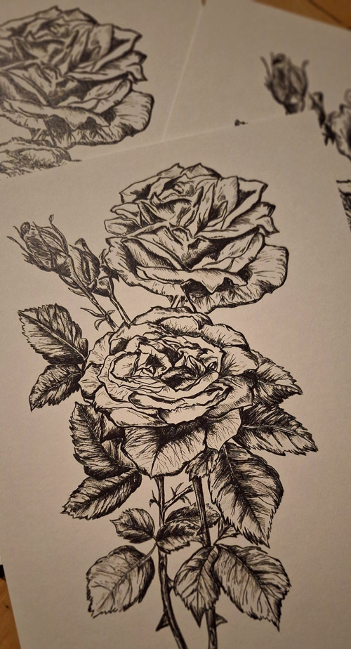 Print A4 s růžemi — foto 2