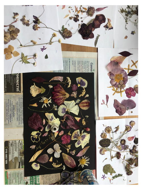 Botanická koláž — foto 3