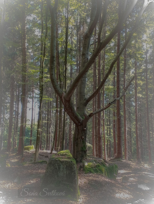Zůstaň a buď součástí — foto 2
