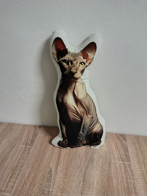 Kočka sphynx - 3D polštář — foto 2