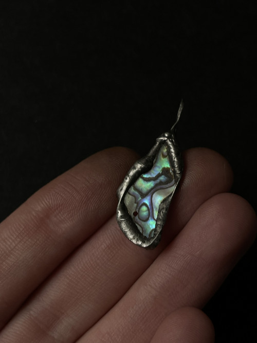 Paua mušľa (abalone) — foto 4