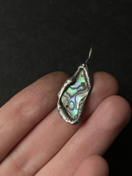 Paua mušľa (abalone) — foto 2