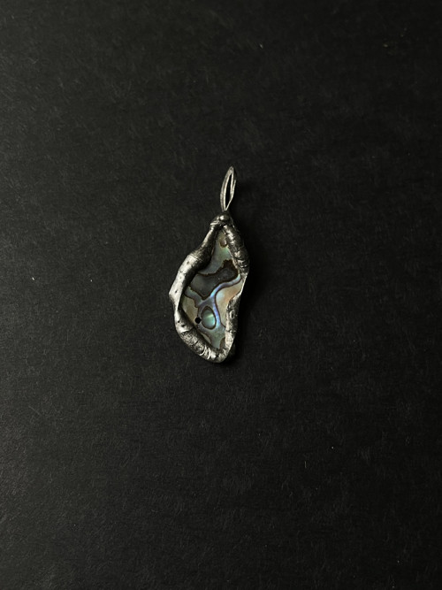 Paua mušľa (abalone) — foto 3