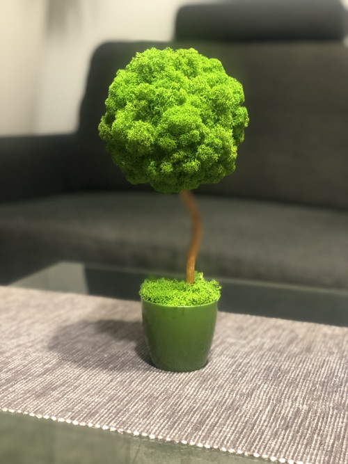 Mechová dekorace — foto 2