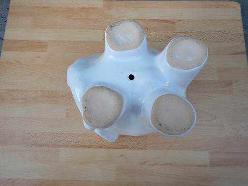 Slon Bimbo — foto 6