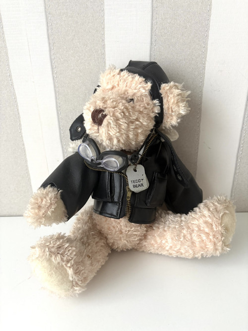 Medvídek Teddy Bear — foto 2