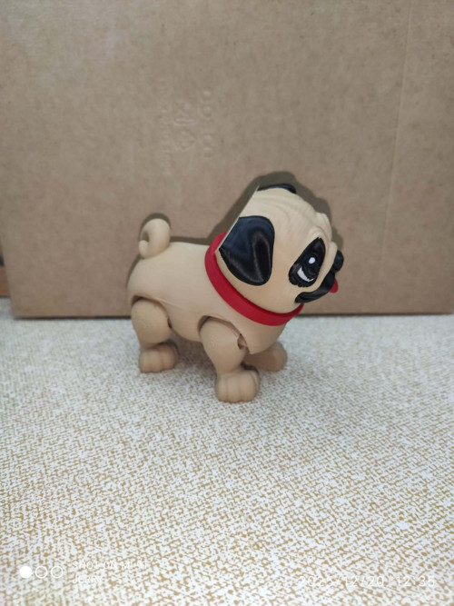 Mopsík — foto 3
