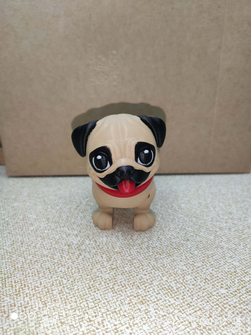 Mopsík — foto 5