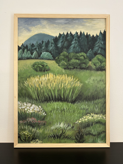 Obraz louka — foto 2