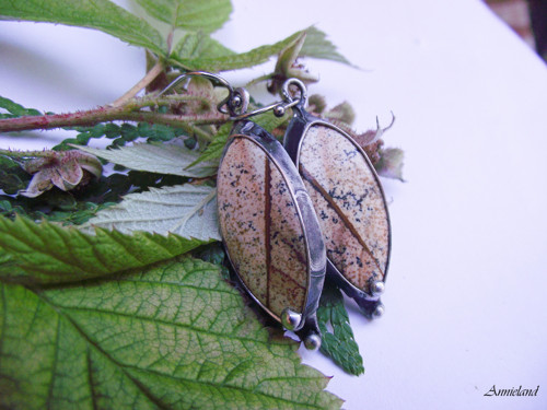 Púštny príbeh....(picture jasper-jaspis) — foto 2