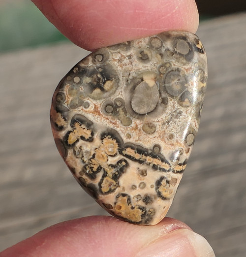Jaspis leopardí V1638 — foto 3