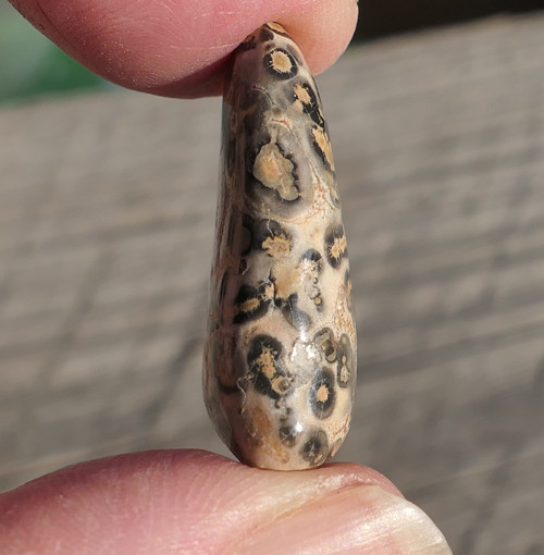 Jaspis leopardí V1638 — foto 2