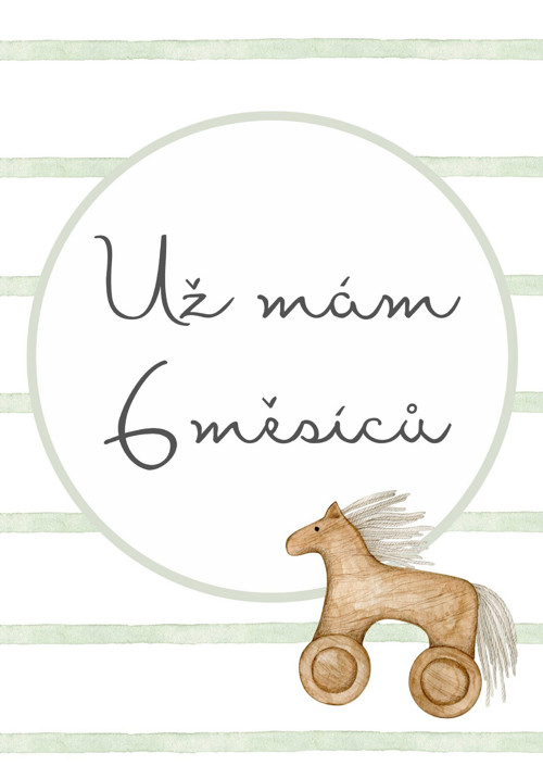 Milníkové kartičky - UNI proužek — foto 4