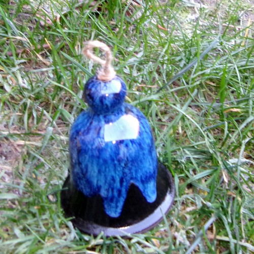 Zvonek modrý — foto 2