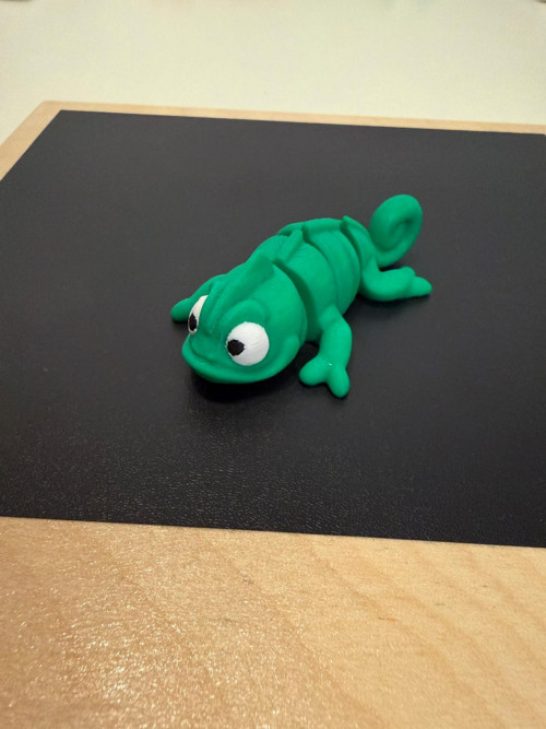 Roztomilý chameleon — foto 2