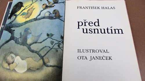 Před usnutím — foto 2