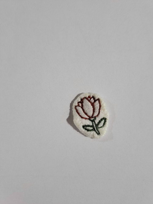Drobný tulipán — foto 2
