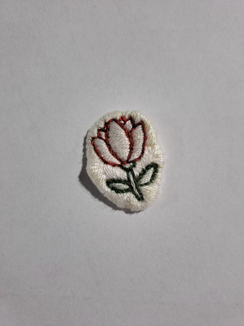 Drobný tulipán — foto 3