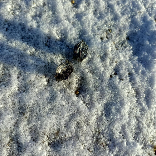Náušnice růžičky černé — foto 3