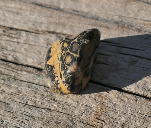 Jaspis leopardí V1842 — foto 4