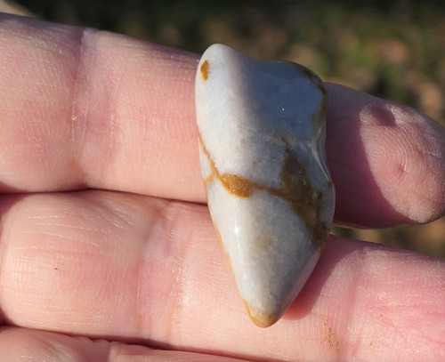 Chalcedon (33 mm) V1855 — foto 4