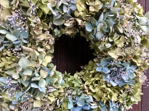 Hortenzie do modra — foto 2