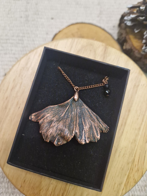 Dark ginkgo biloba — foto 2