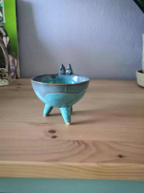 Mistička modrá — foto 3