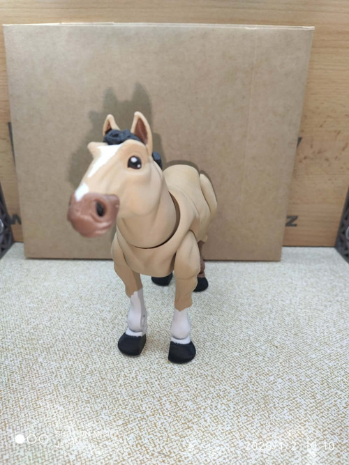 Kůň — foto 2
