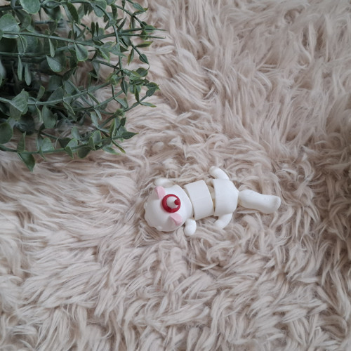 Kočička — foto 2