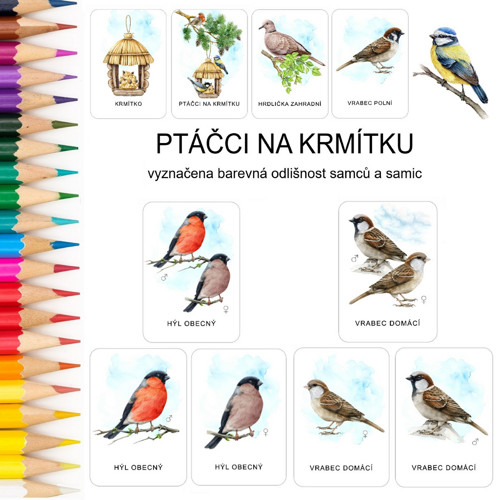 PTÁČCI NA KRMÍTKU - 32 demonstračních karet v PDF — foto 2