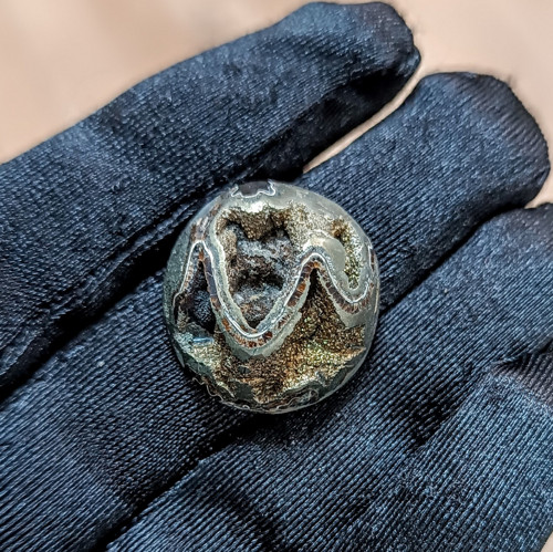 Pyritový Amonit, ID 5379, 22x21 mm — foto 3