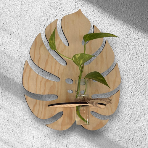 Monstera s vázičkou — foto 3