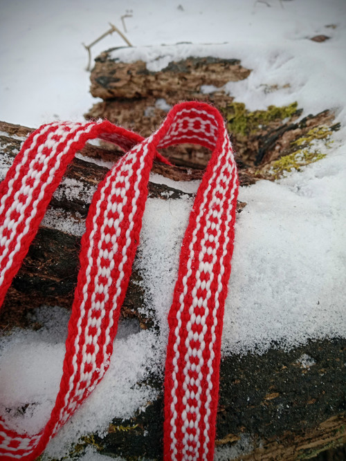 Červenobílá hřebenovka — foto 2