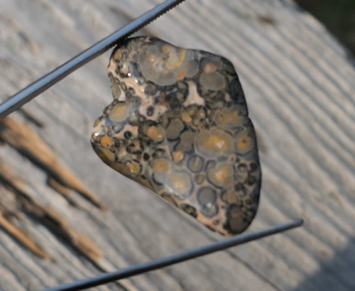 Jaspis leopardí V2075 — foto 3