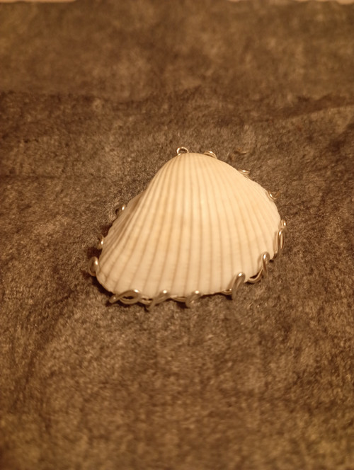 Mušle v drátu/wire wrapping — foto 3