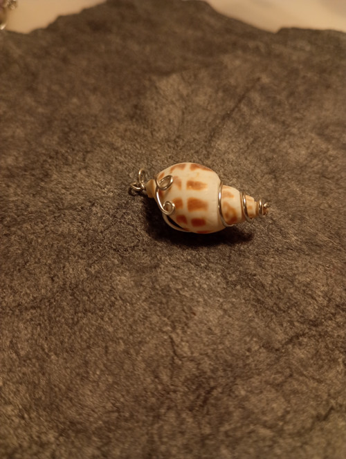 Mušle v drátu/wire wrapping — foto 2